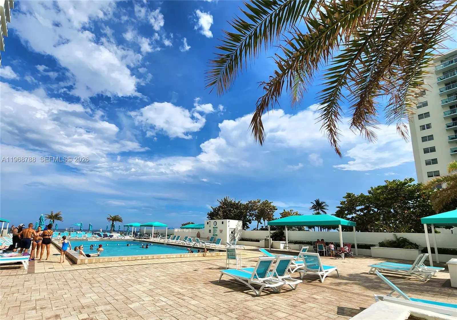 Photo of Listing #A11968788