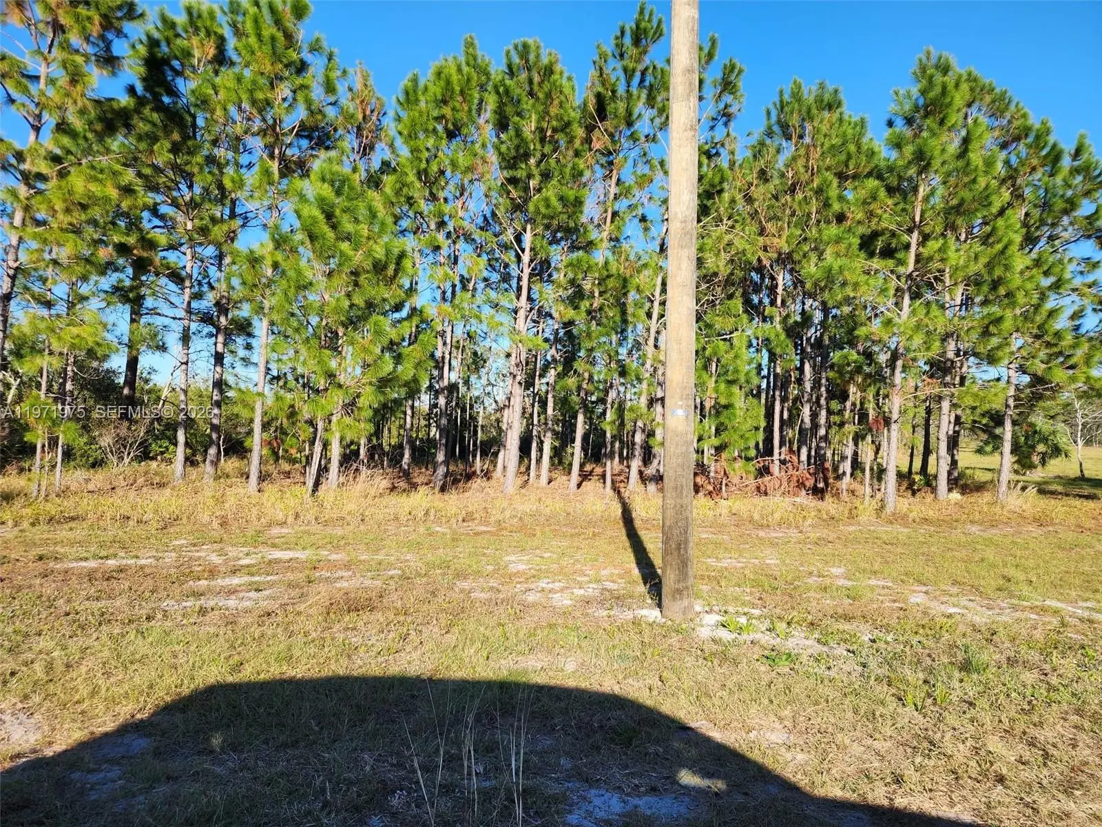 2 of 12 - Beach Road, , FL
