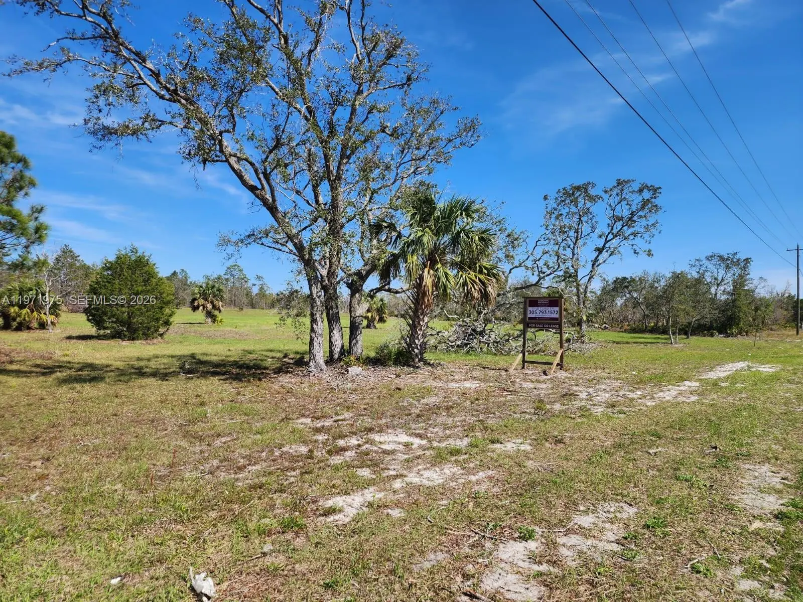 5 of 12 - Beach Road, , FL
