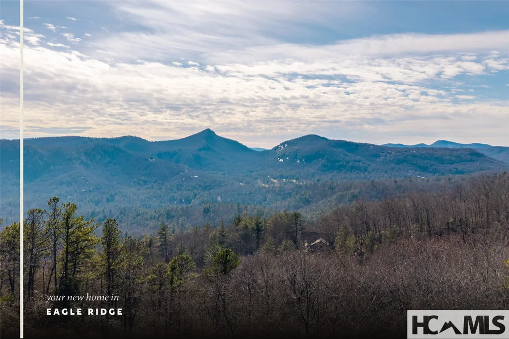 142 Eagle Ridge Road 2304, Sapphire