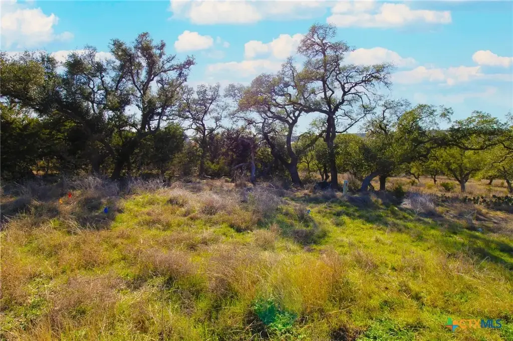 436 Cavy Road, New Braunfels