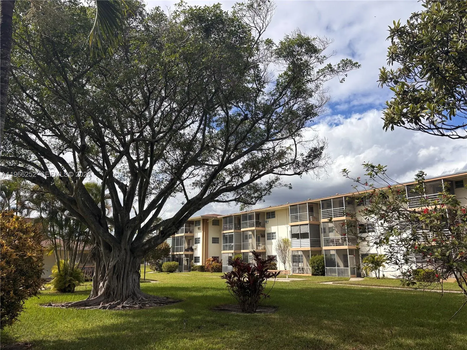 Photo of Listing #A11966252