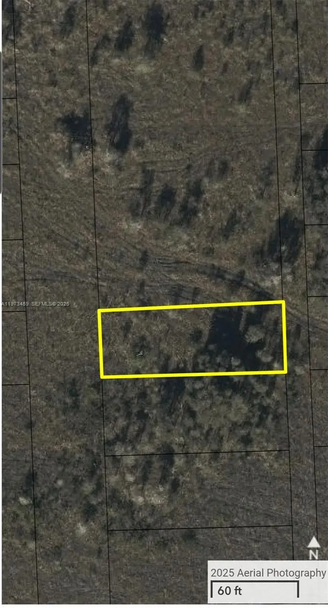 Photo of Listing #A11973459