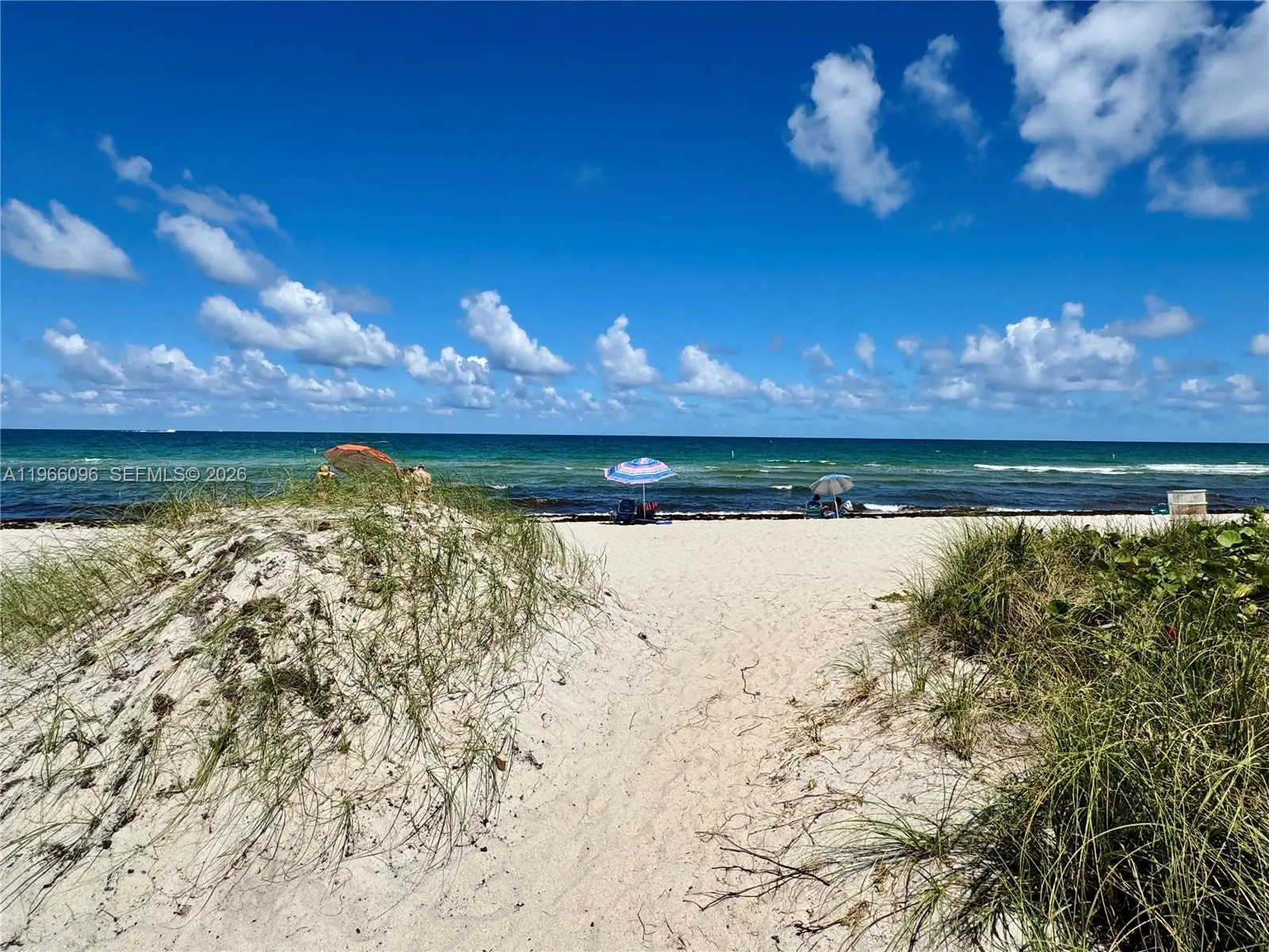 Photo of Listing #A11966096