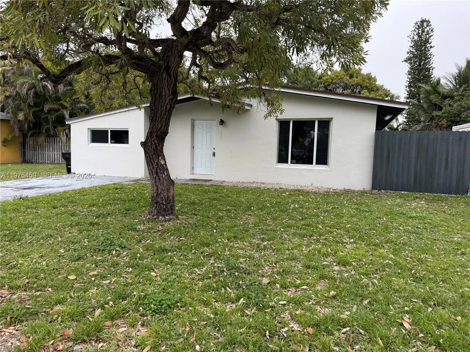 Photo of Listing #A11975459