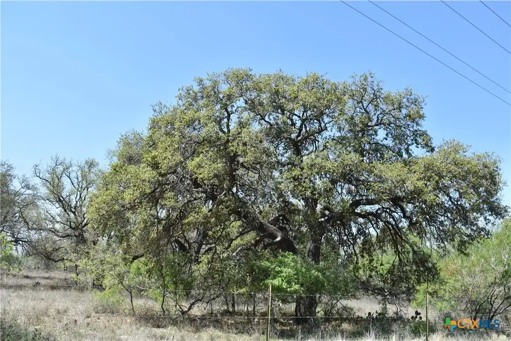 5030 Fm 2504, Poteet