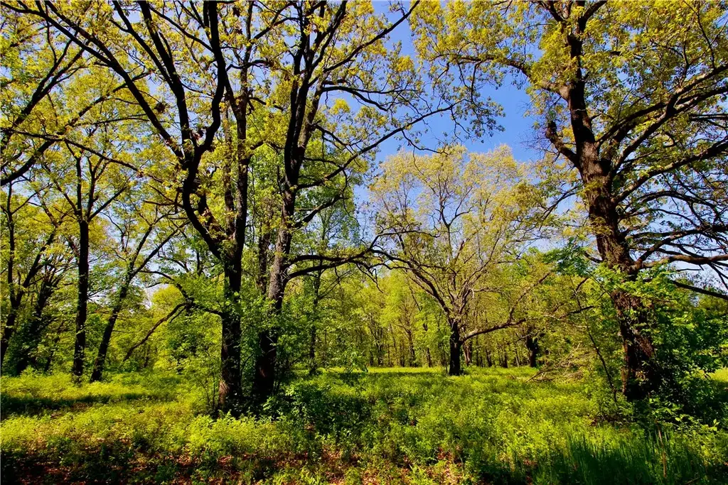 Garner Lane, Berryville