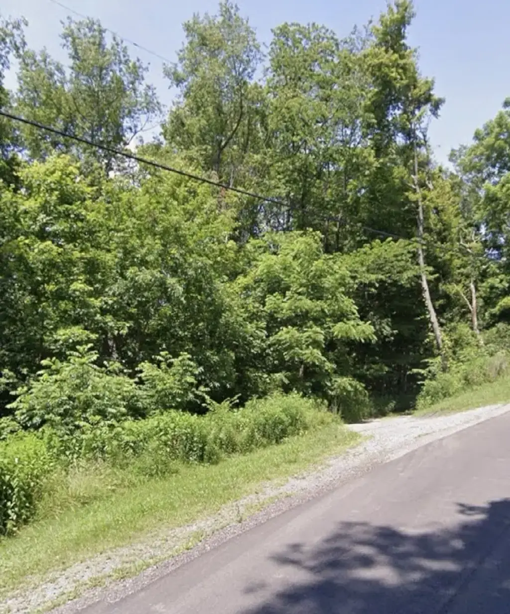 108 Cove Run Road , Cheswick