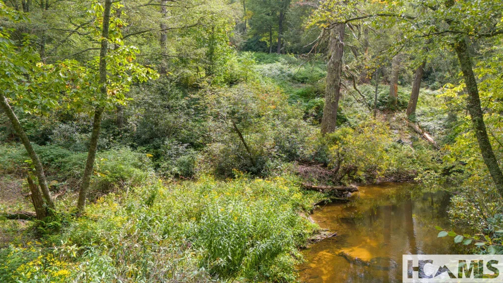 Sherwood Forest Road, Highlands