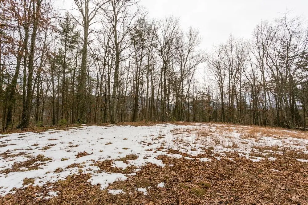 Lot 44 Rainbow Ridge Rd, Bergton