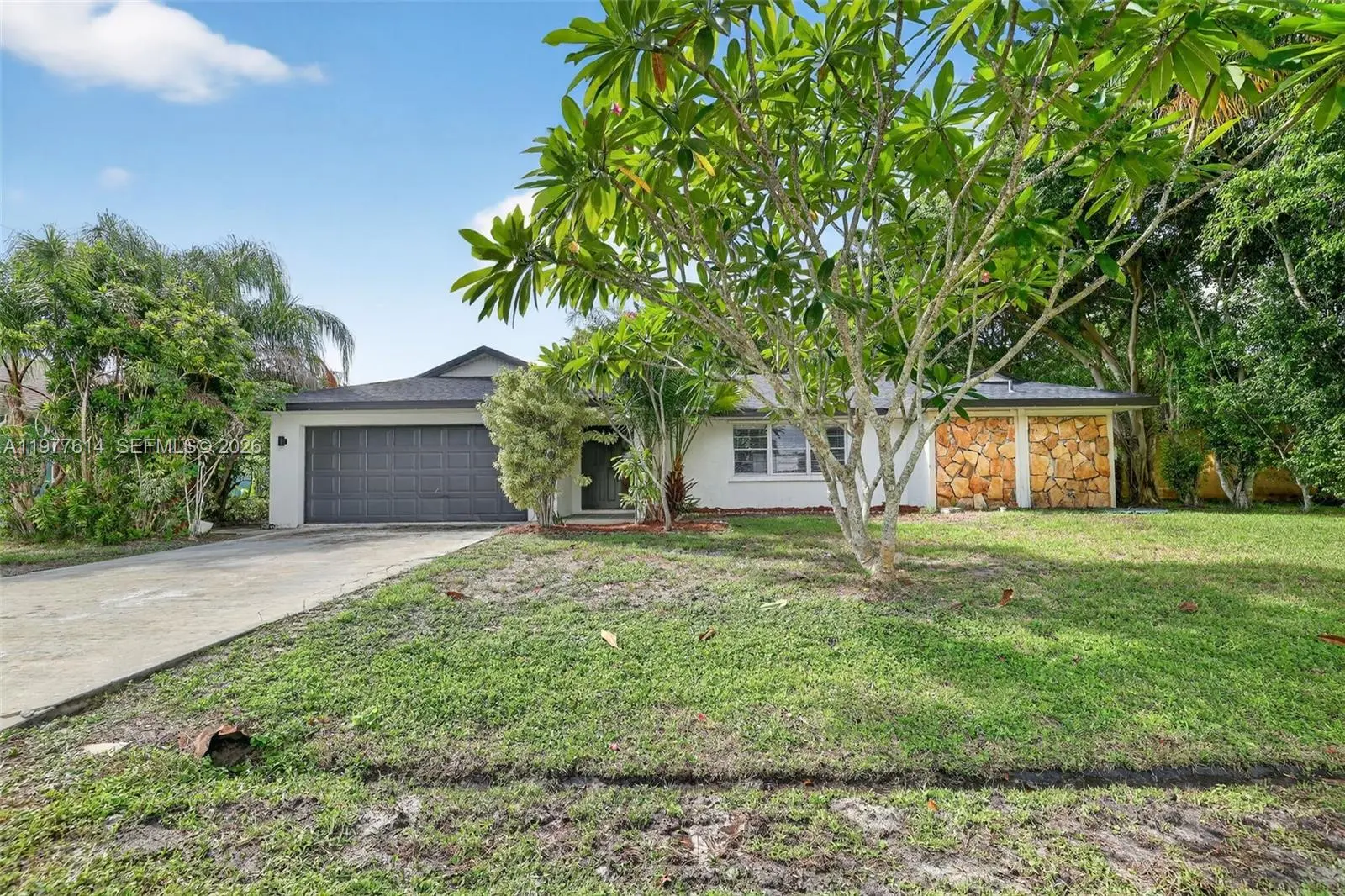 Photo of Listing #A11977614