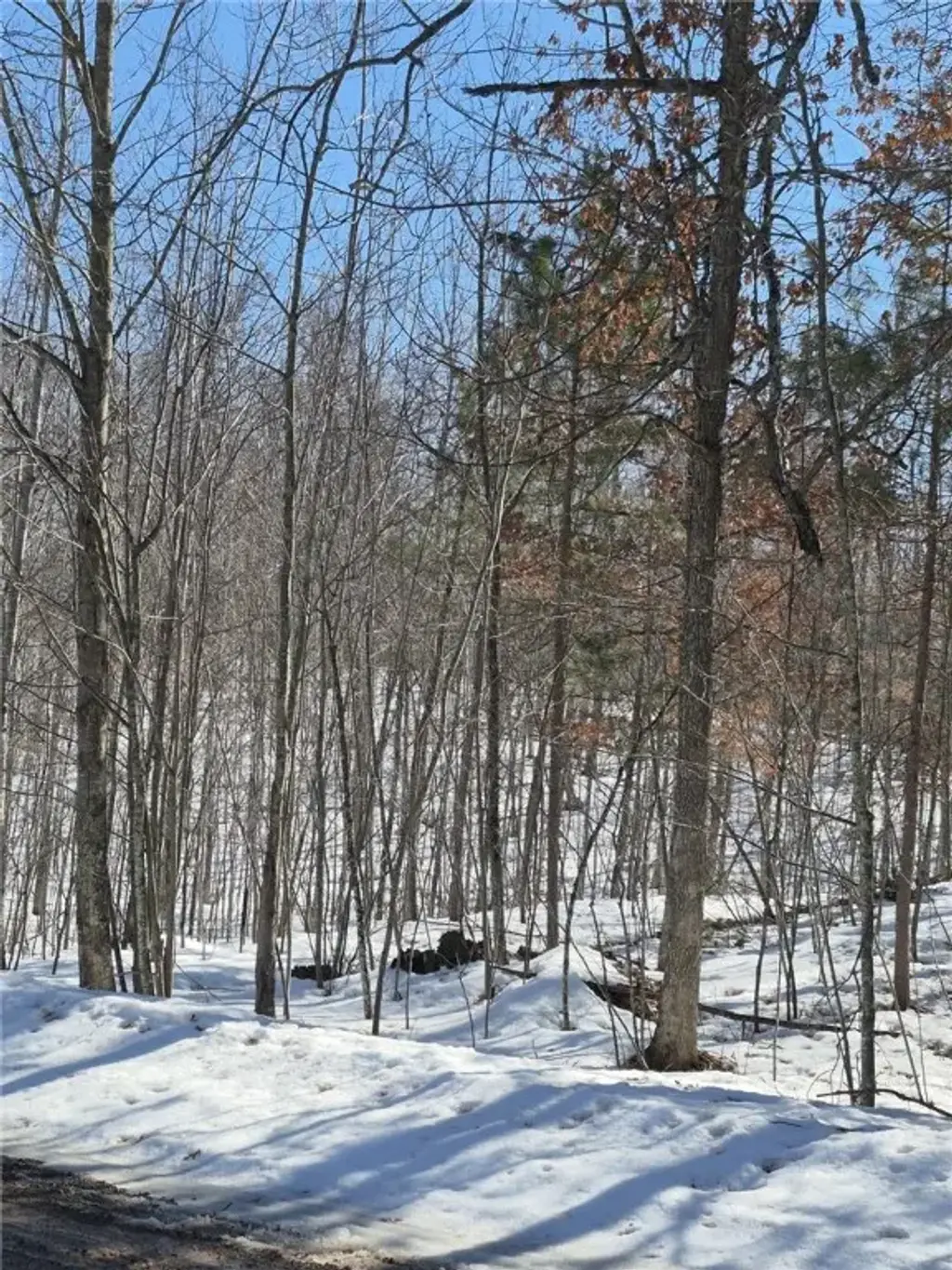 Lots 10 & 11 Wintergreen Trail, Danbury
