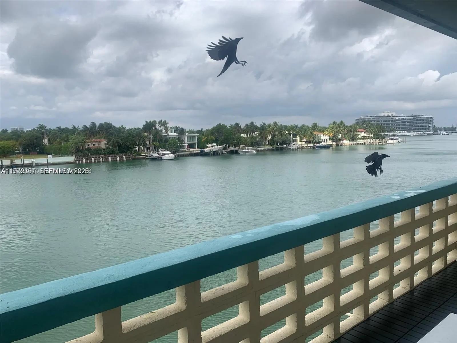 Photo of Listing #A11979191