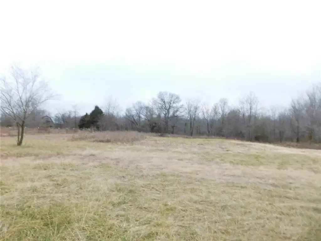14593 It'll Do Road, Pea Ridge