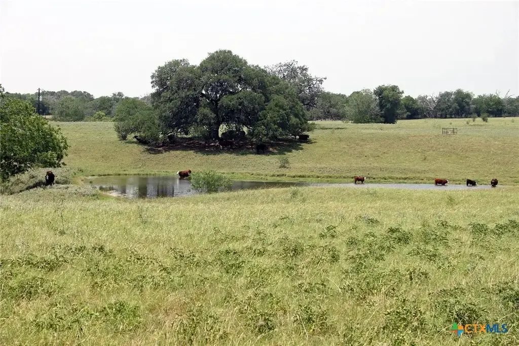 Tbd Old Mcmahan Road, Lockhart