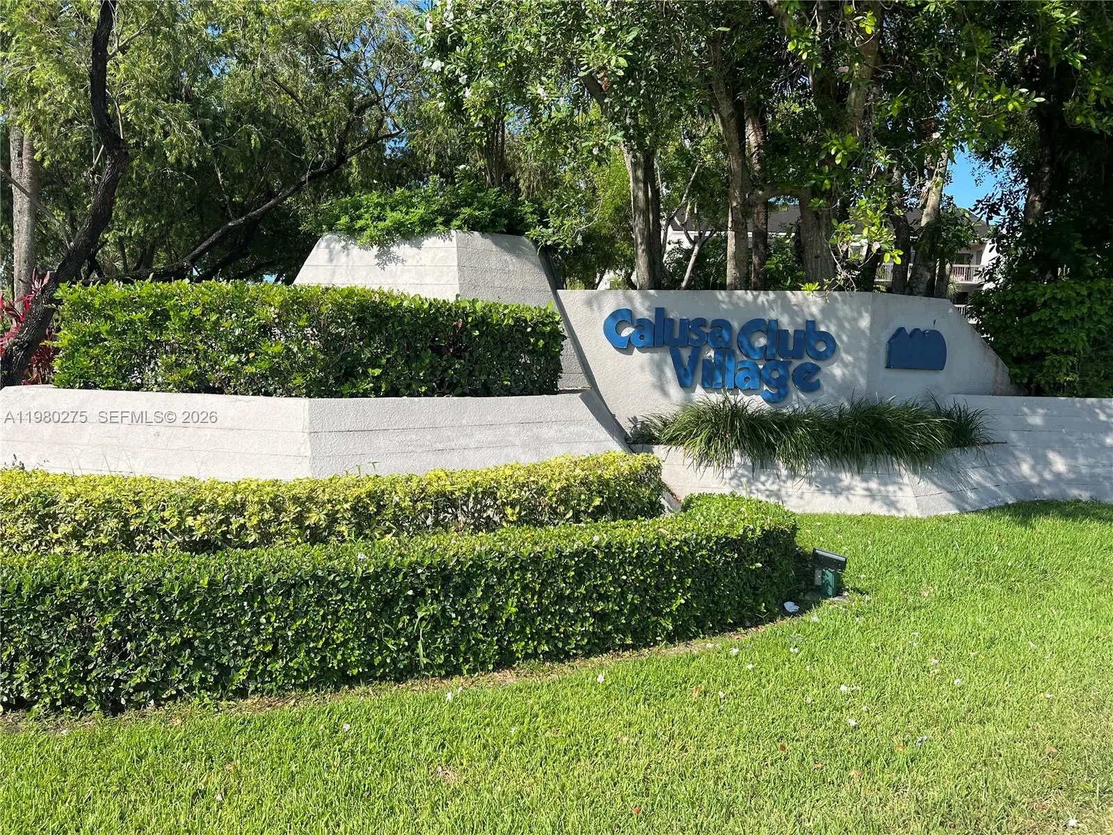 Photo of Listing #A11980275