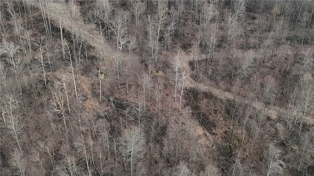 6 Acres Along Gallagher & Loop Roads, Punxsutawney Area School District