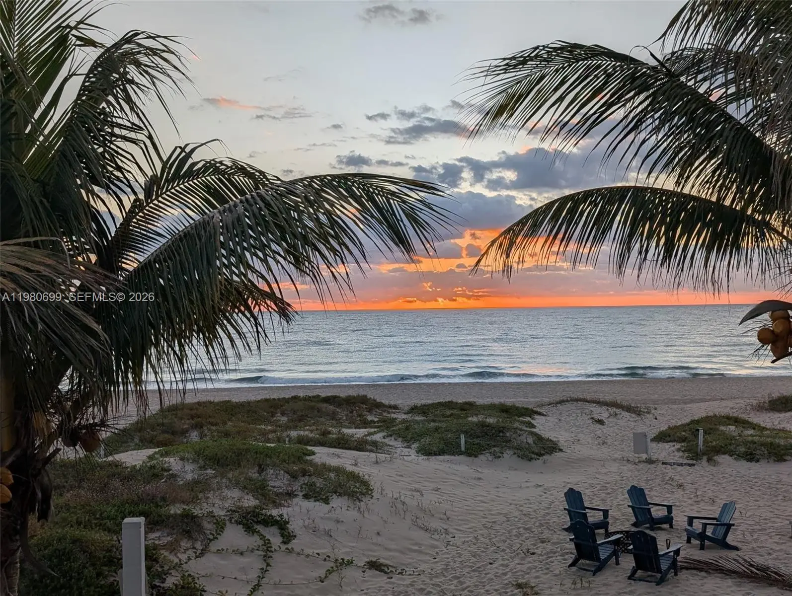 Photo of Listing #A11980699