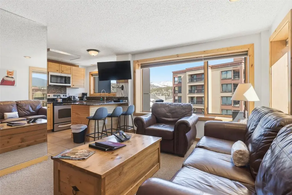 535 S Park Avenue 505, Breckenridge