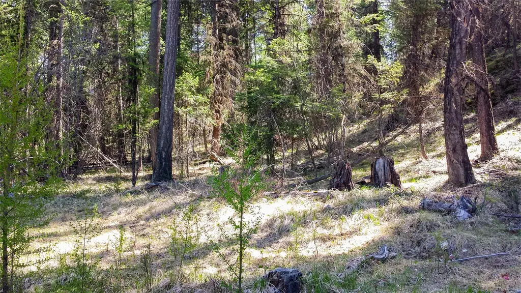 Lot 7 Whispering Pines, Fortine