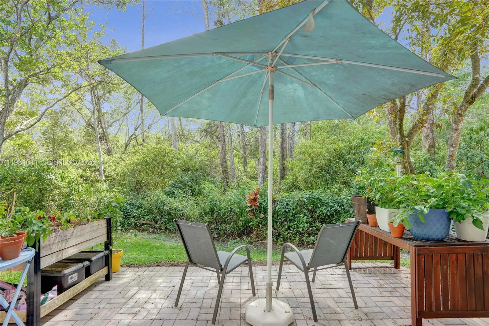 Photo of Listing #A11981011