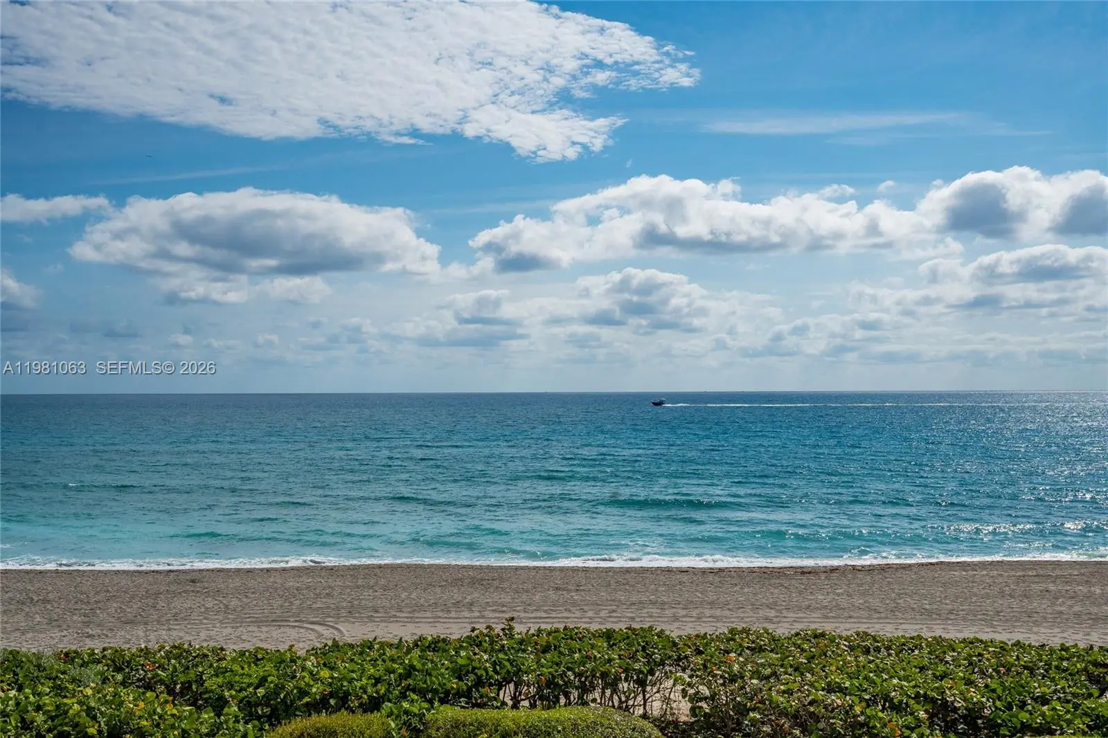 Photo of Listing #A11981063