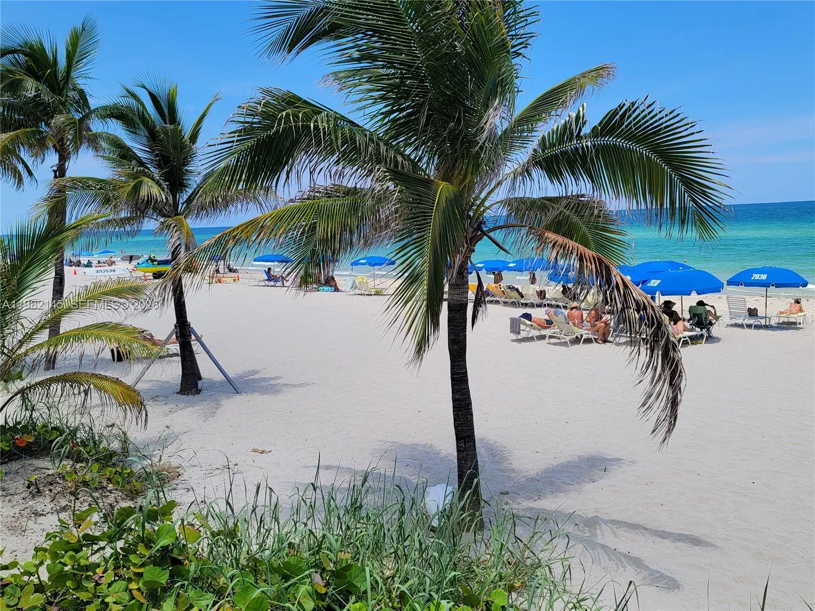 Photo of Listing #A11982145