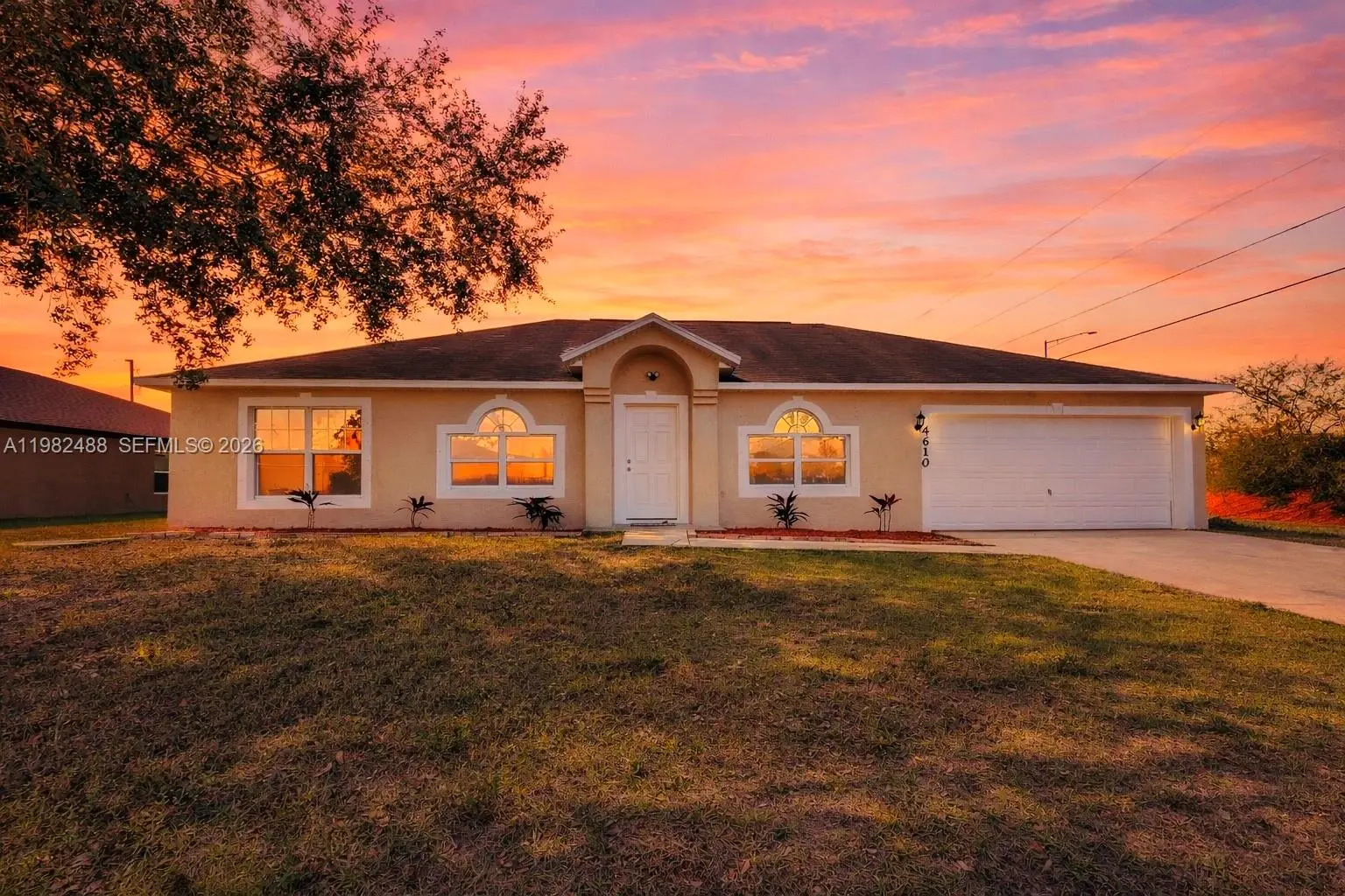 Photo of Listing #A11982488