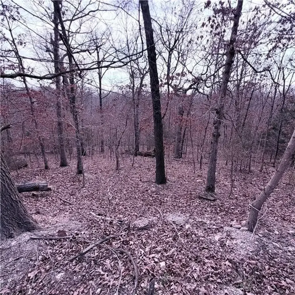 Lot 12 & 13 Hoyer Lane, Bella Vista