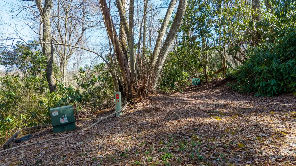 6 Norton Road, Cashiers