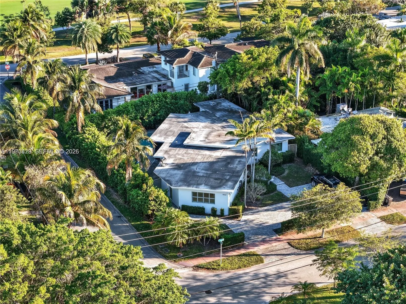 Photo of Listing #A11983429