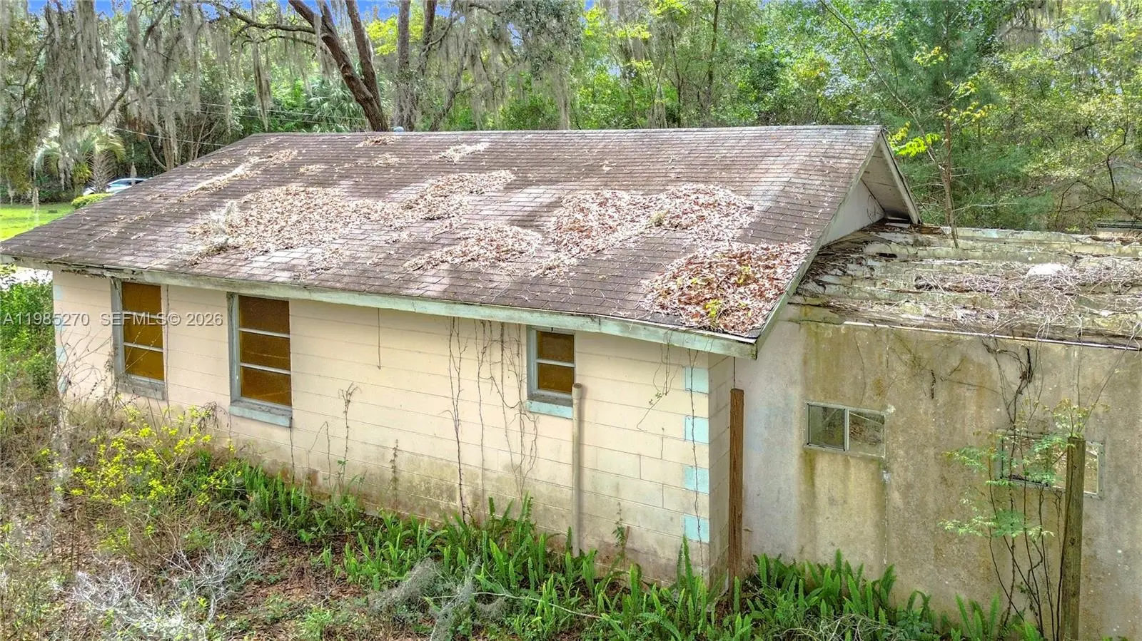 Photo of Listing #A11985270