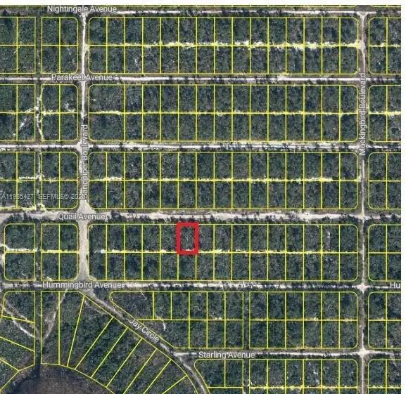 Photo of Listing #A11985427