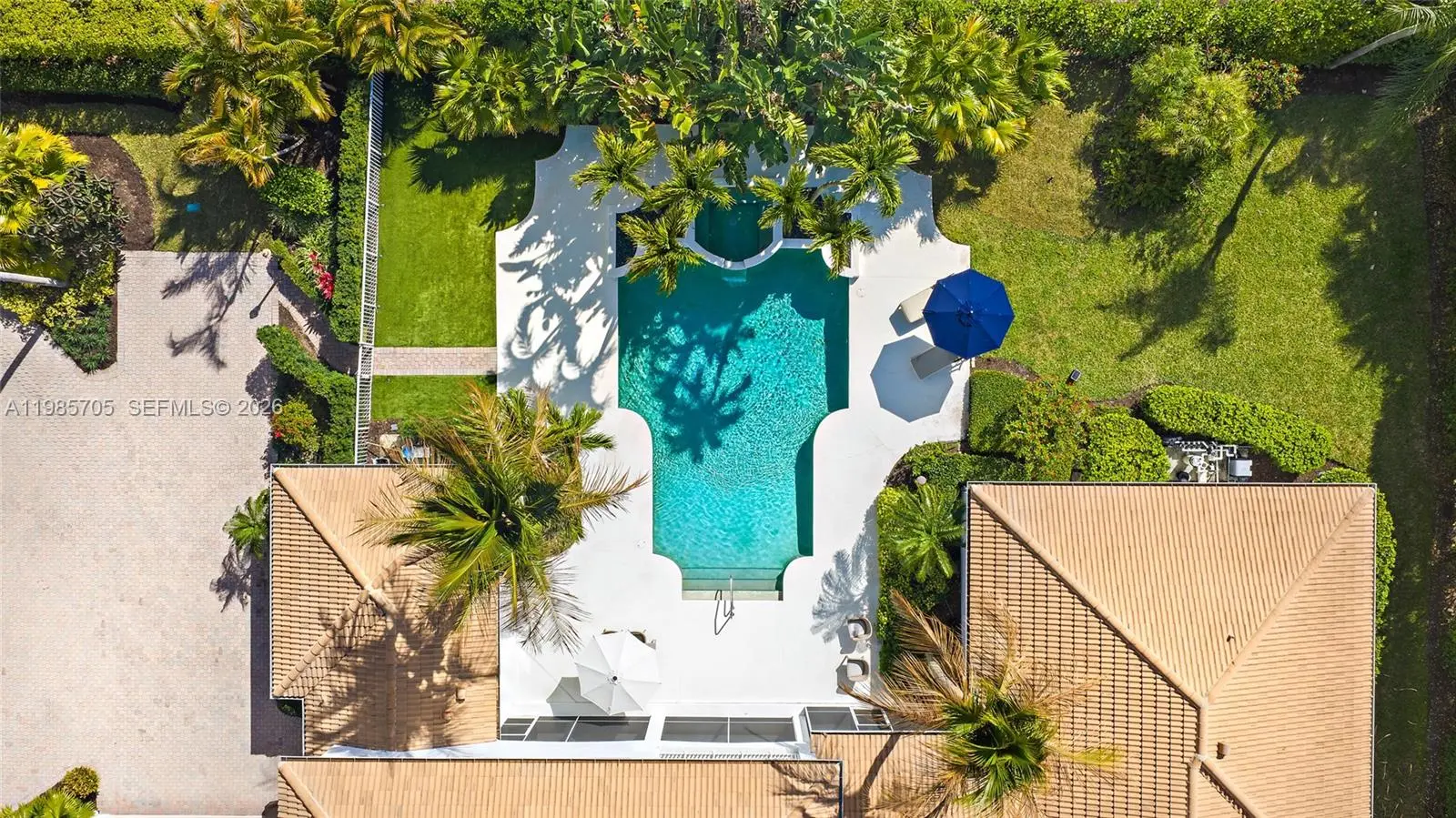 Photo of Listing #A11985705