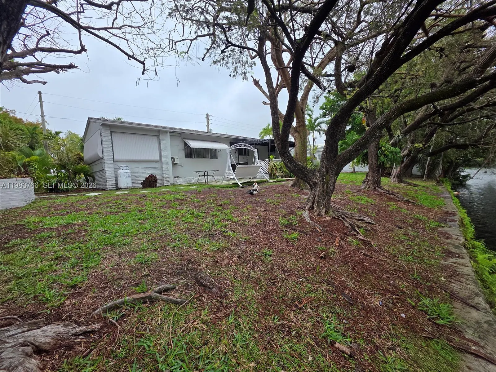 Photo of Listing #A11983766