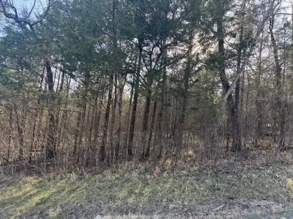 1 Table Rock/cottonwood Drive, Holiday Island