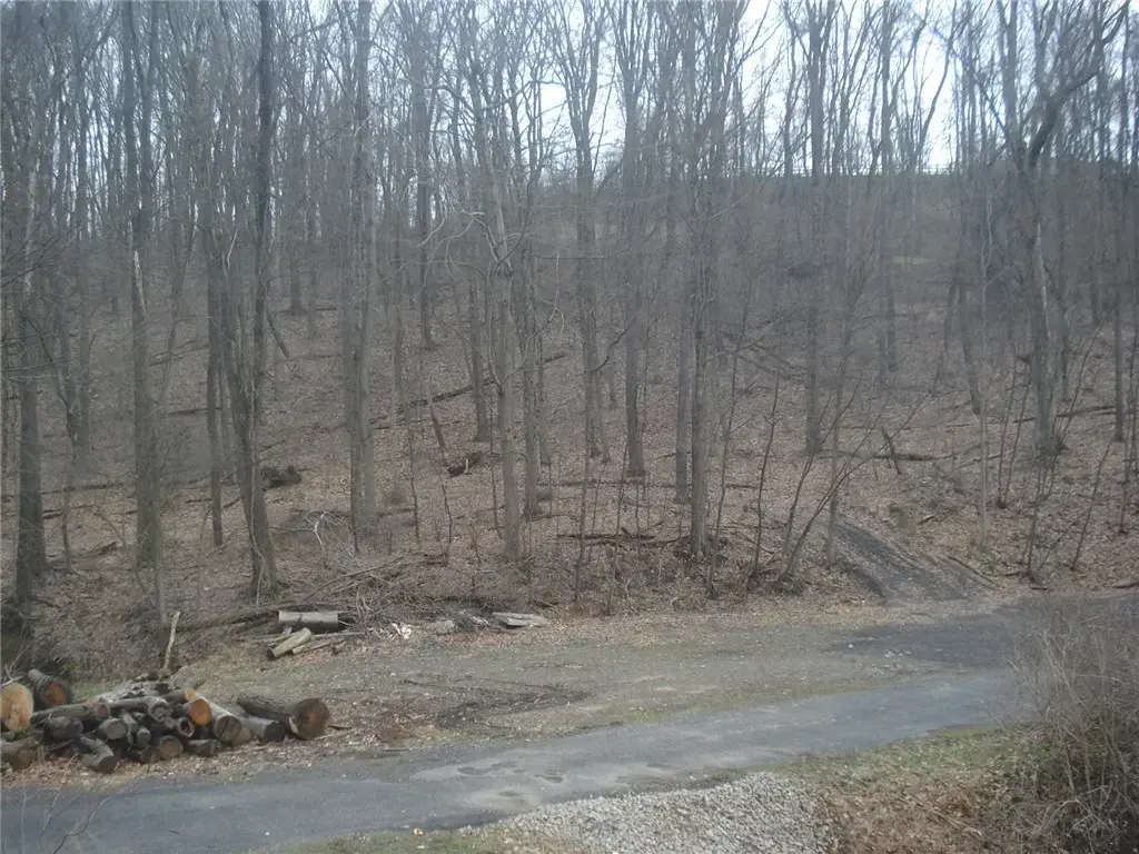 Mcdevitt, Franklin Park