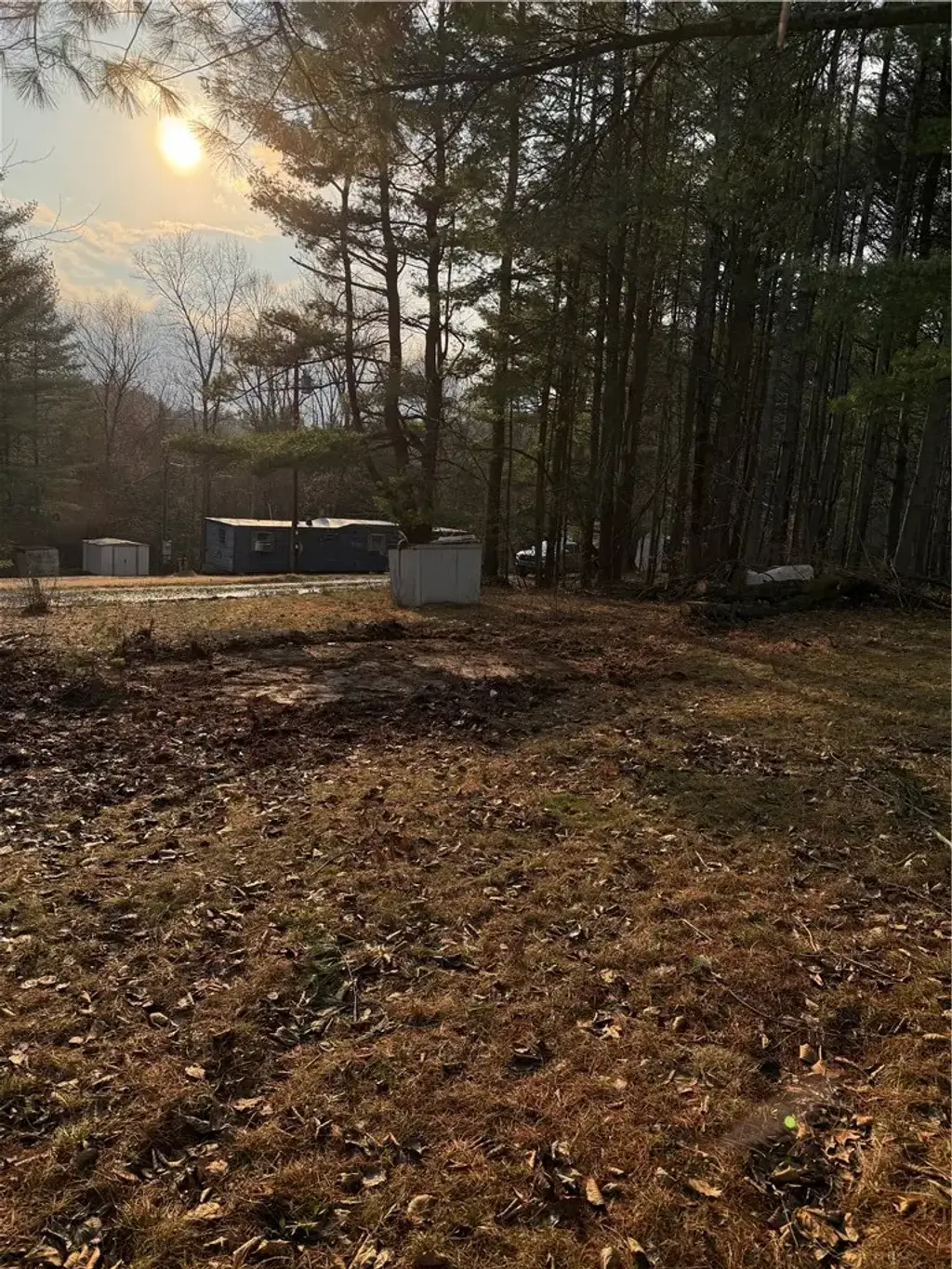 Casey Lane, Other