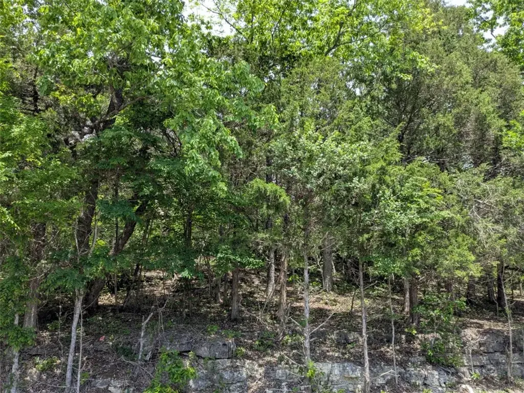 Tbd Cottonwood Lane, Holiday Island