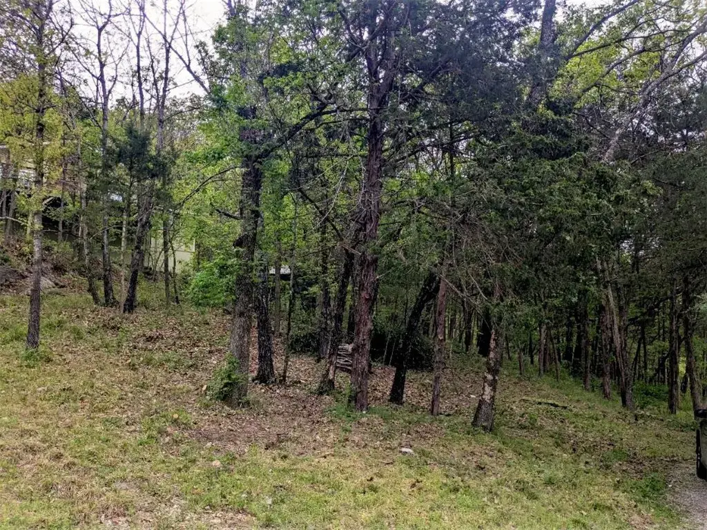 Tbd Leatherwood Drive, Holiday Island