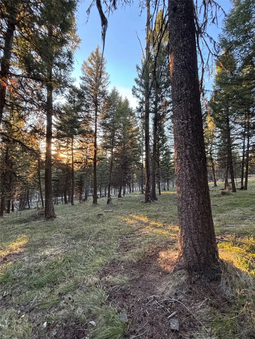 139 Montana View Drive, Seeley Lake