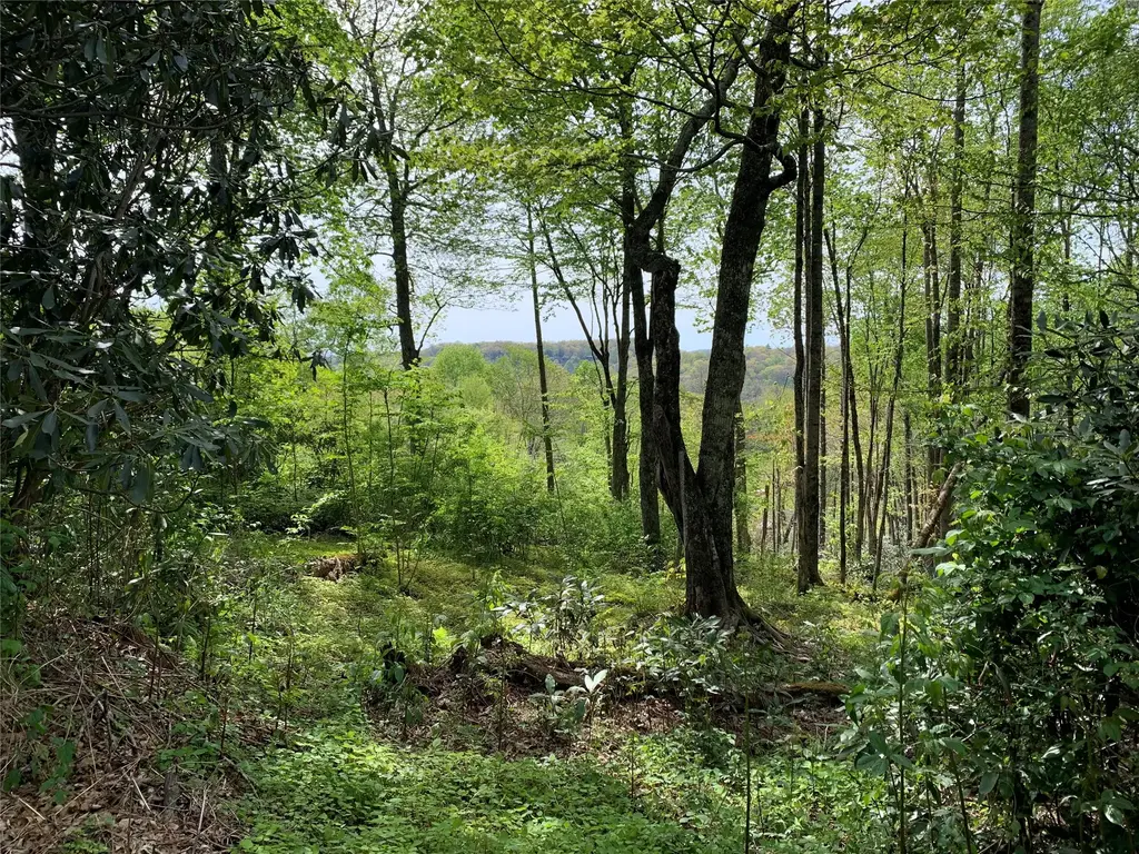 95 Oak Point, Highlands