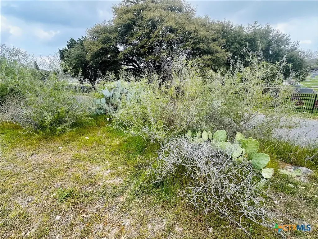 460 Peace Avenue, New Braunfels
