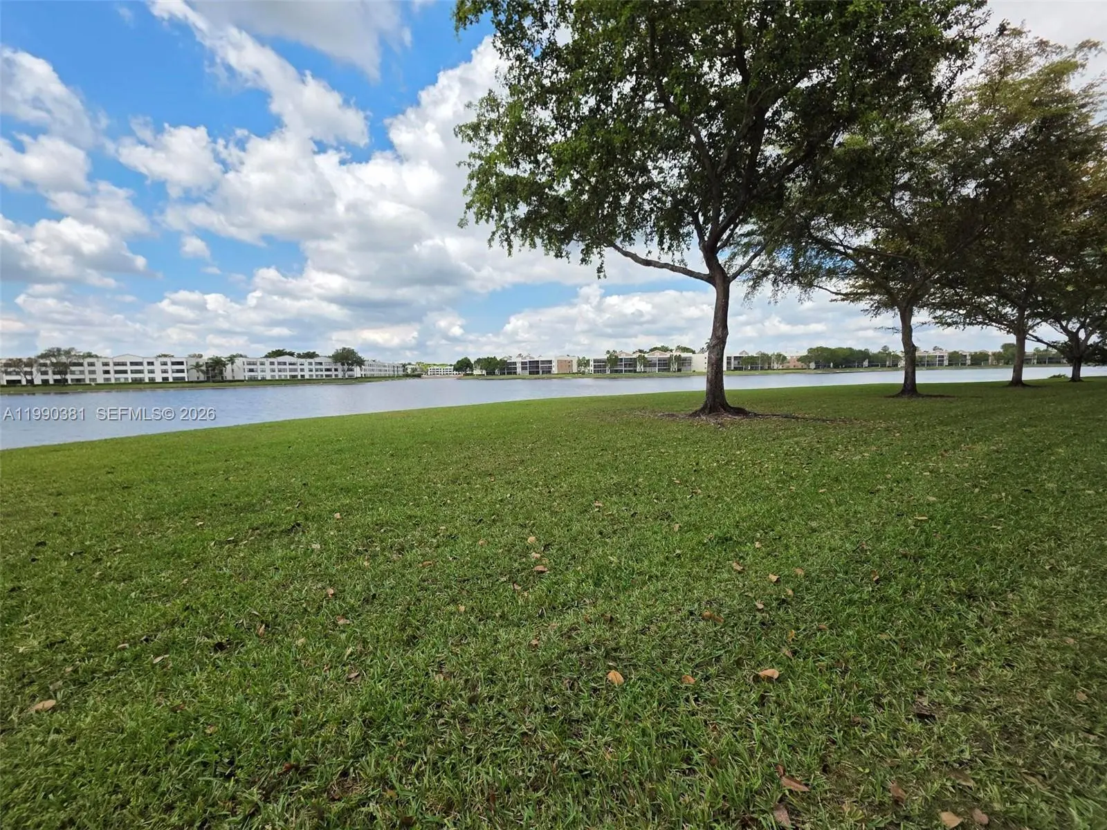 Photo of Listing #A11990381