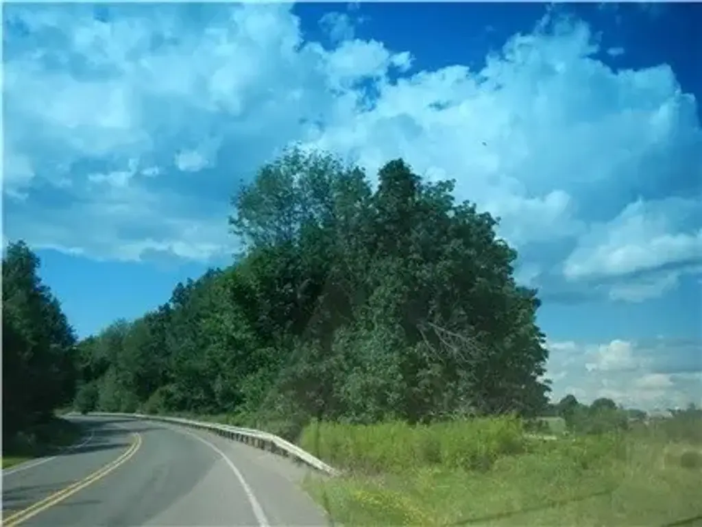 Hwy 258 Butler Pike, Springfield