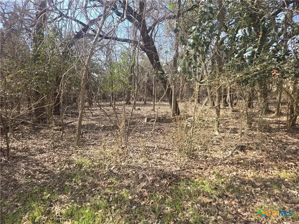 Tbd Estate Trail, Belton