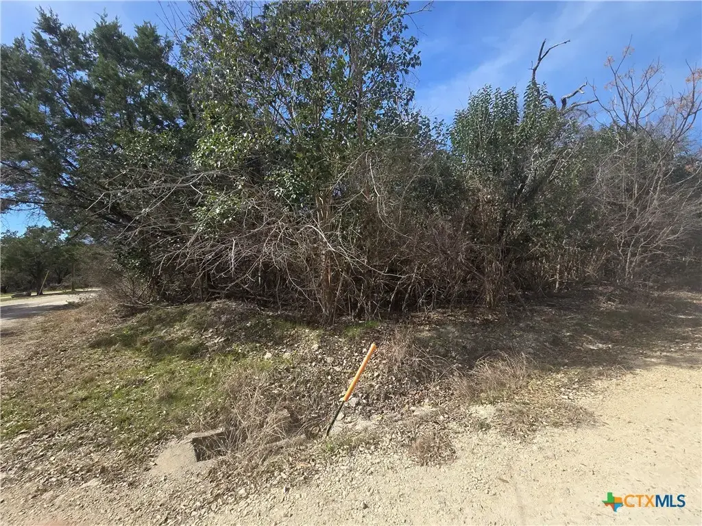 Tbd Estate Trail, Belton