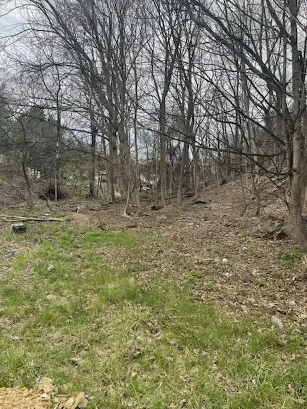 Spring Street , West Mifflin