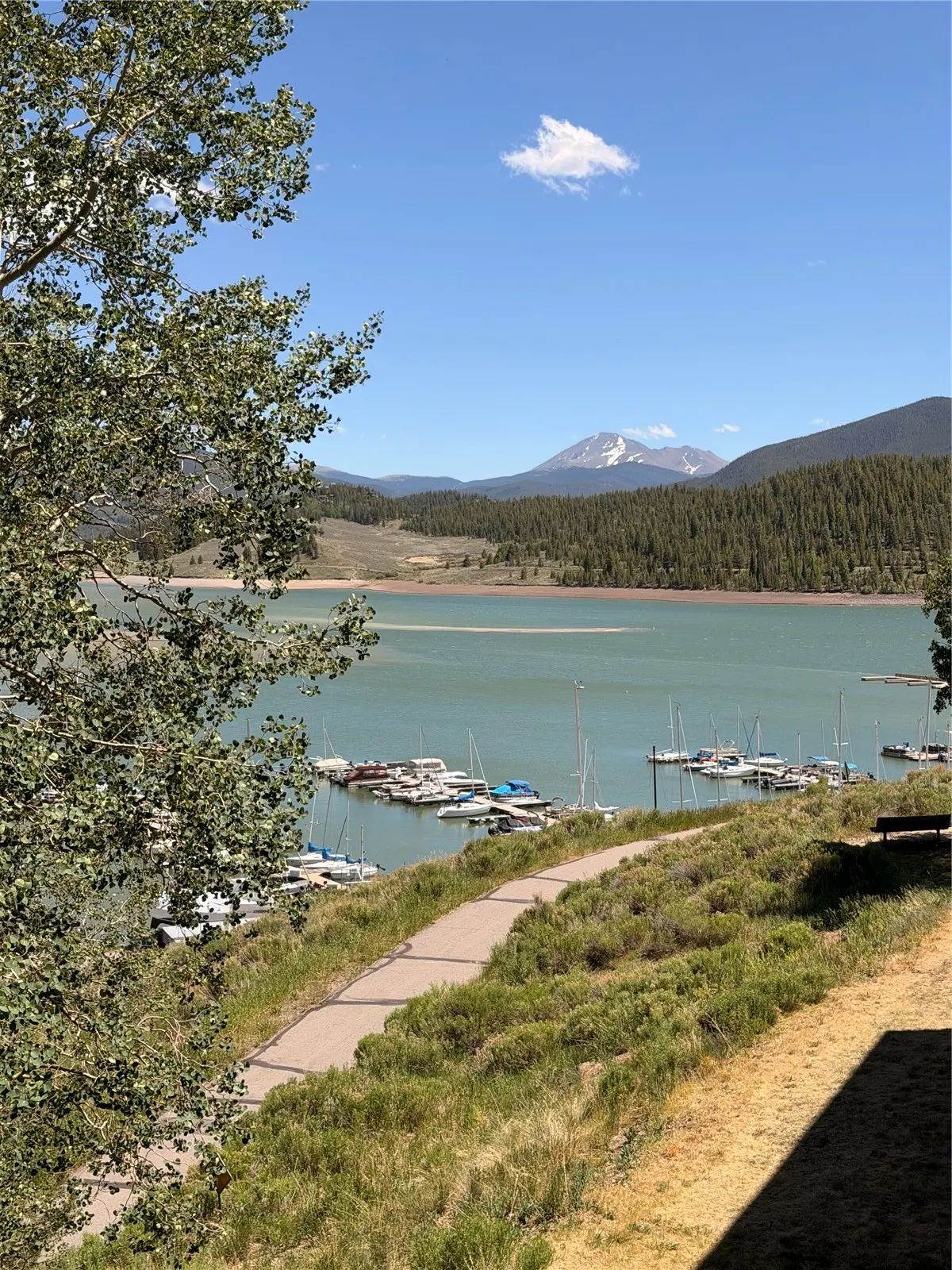 220 E La Bonte Street 219, Dillon