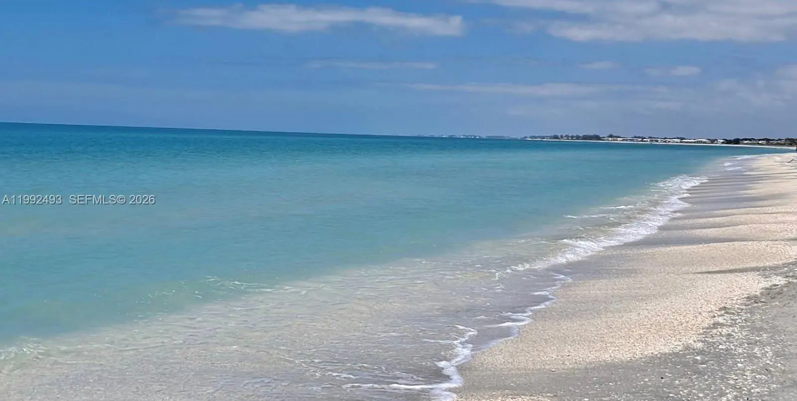 Photo of Listing #A11992493